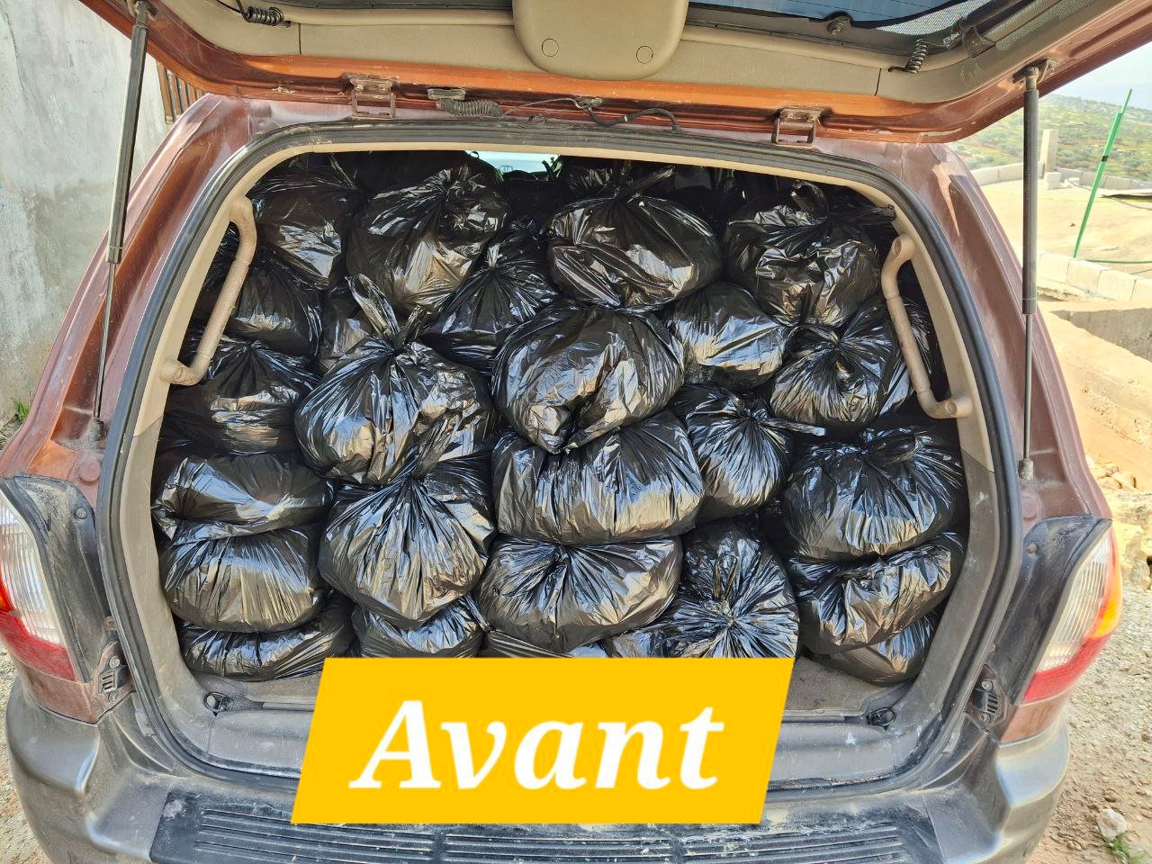 photo_1_2026-03-25_02-11-07