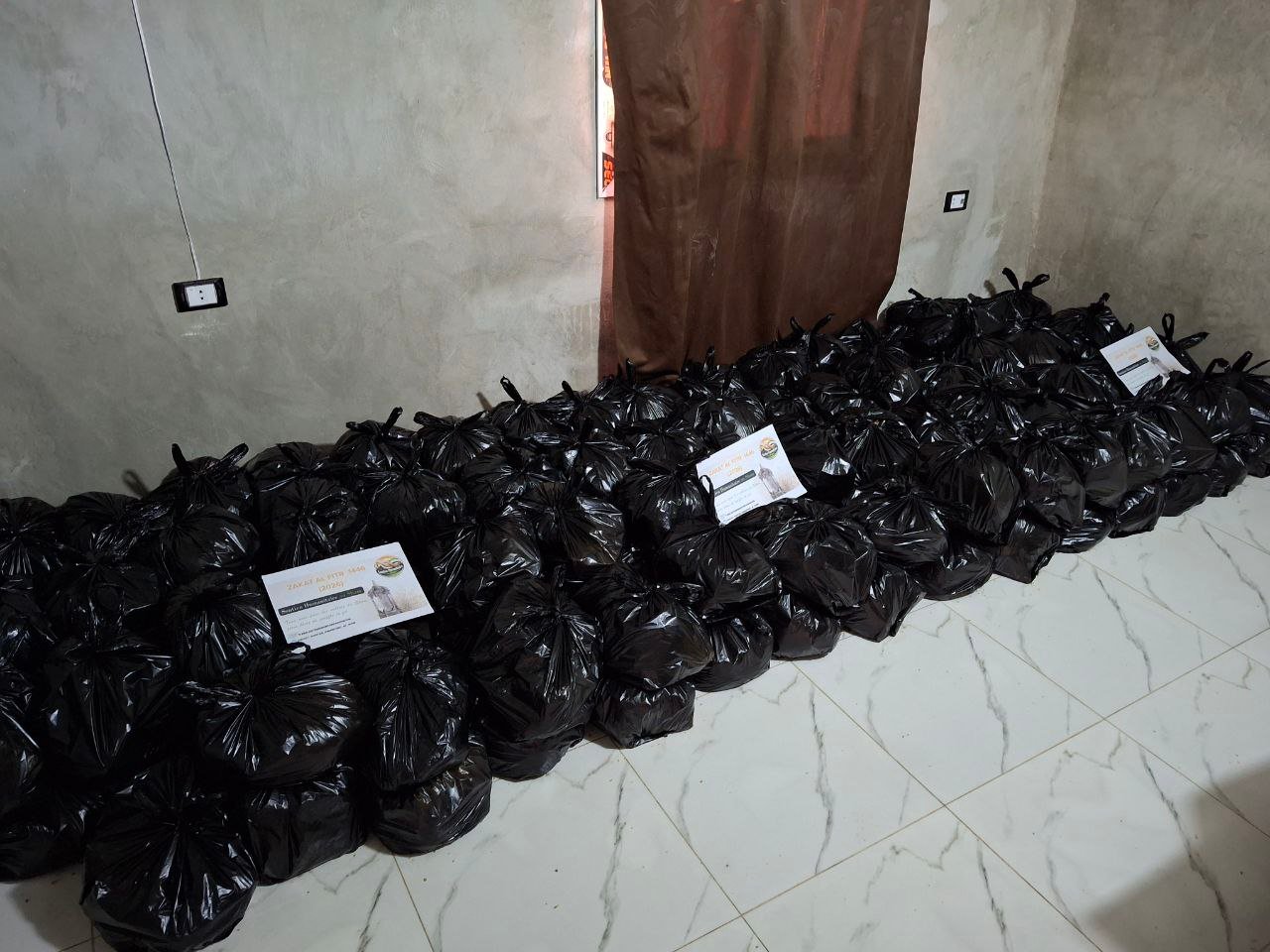 photo_1_2026-03-25_02-11-16