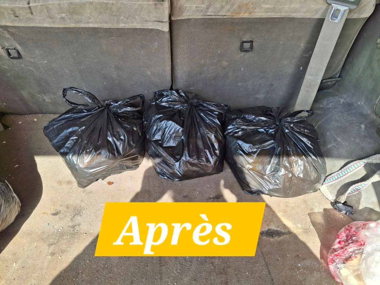 photo_2_2026-03-25_02-11-07