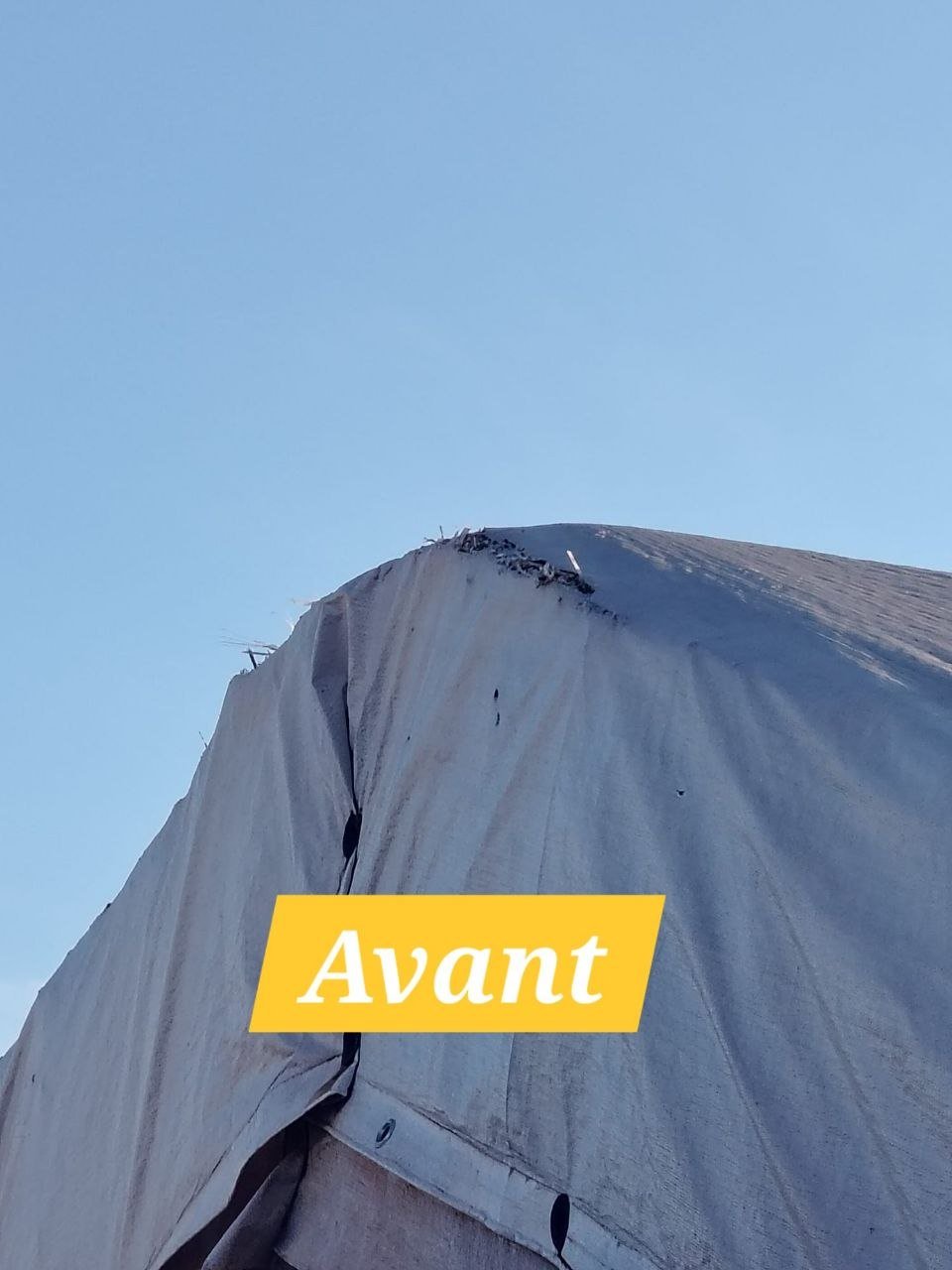 photo_2_2026-03-29_17-15-45