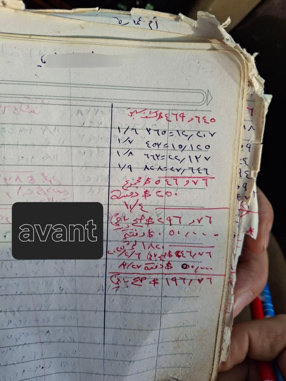 photo_3_2026-03-24_23-24-35