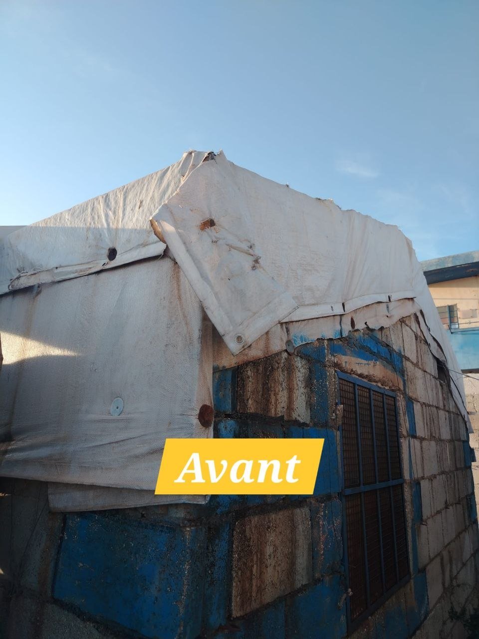 photo_3_2026-03-29_17-15-45