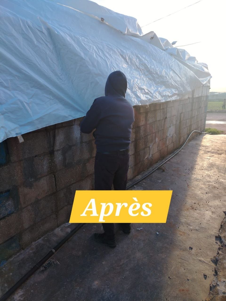 photo_5_2026-03-29_17-15-45