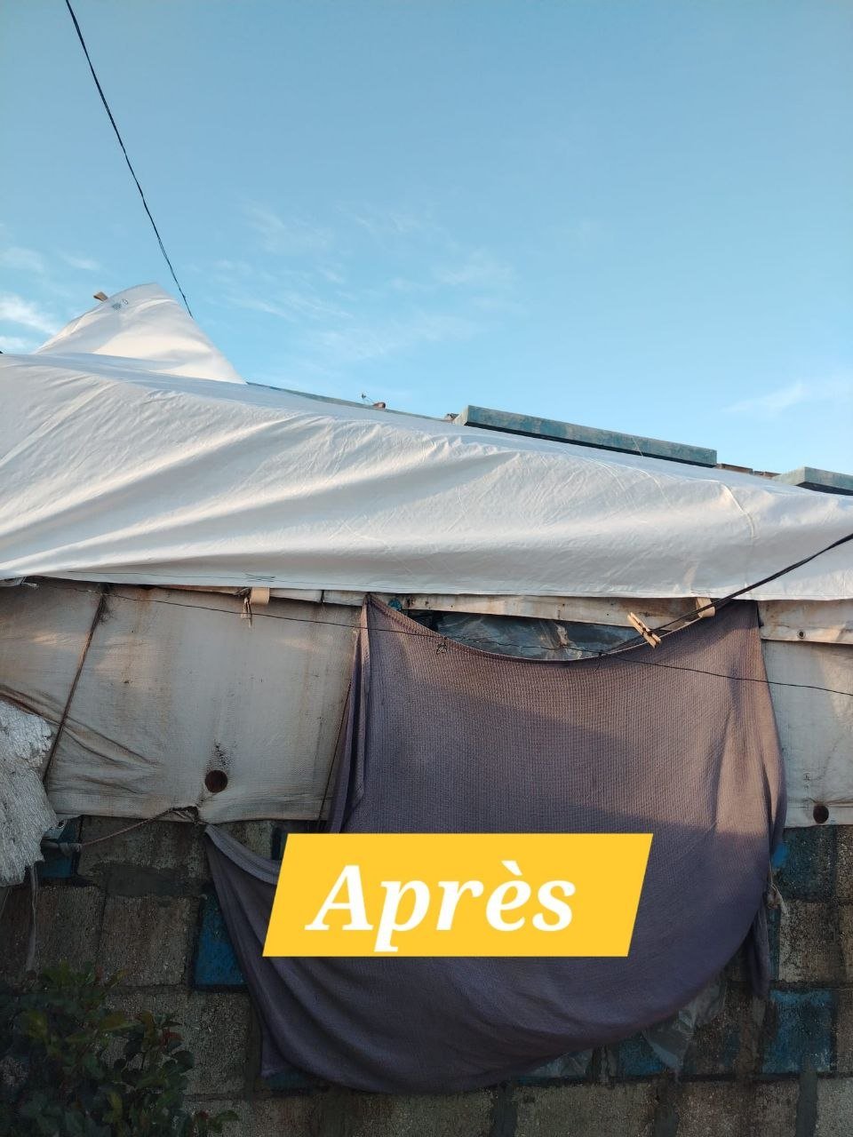 photo_6_2026-03-29_17-15-45