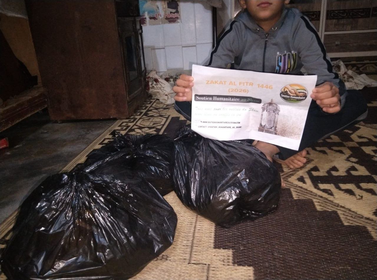 photo_8_2026-03-25_02-10-01