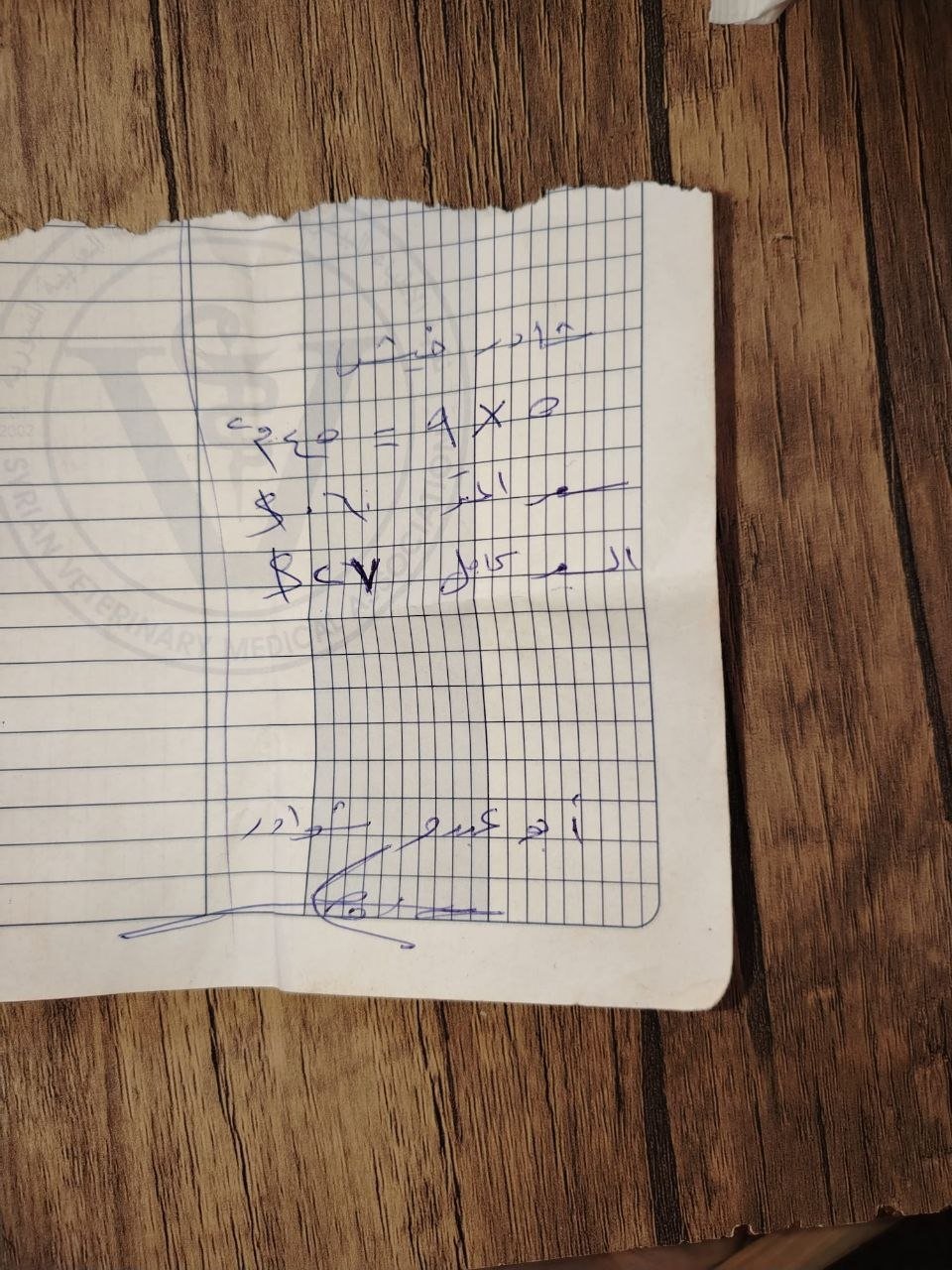 photo_8_2026-03-29_17-15-45